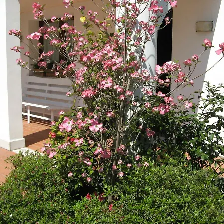 Casa Tecla Bed & Breakfast *